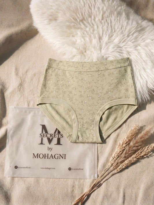 PN-01-HIGH-WAISTED BRIEF-FULL COVERAGE-EVERYDAY WEAR