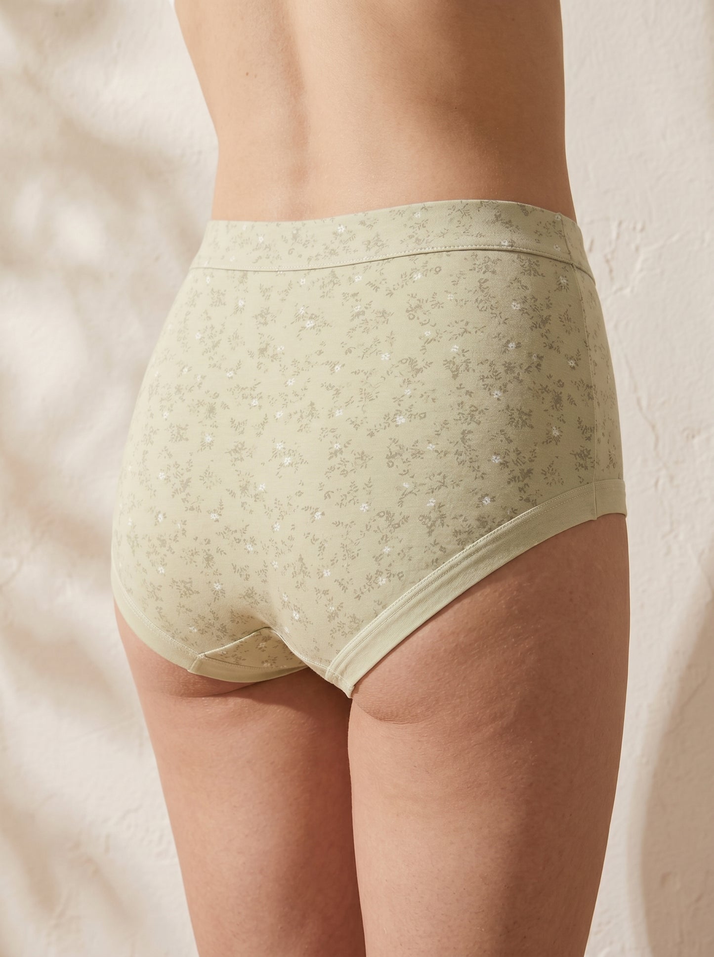 PN-01-HIGH-WAISTED BRIEF-FULL COVERAGE-EVERYDAY WEAR