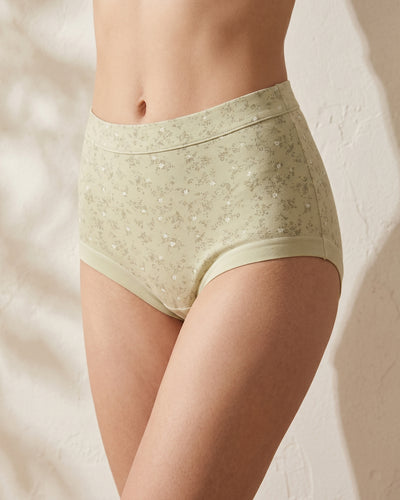 PN-01-HIGH-WAISTED BRIEF-FULL COVERAGE-EVERYDAY WEAR