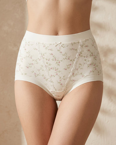 PN-06-HIGH WAISTED BRIEF-FULL COVERAGE-EVERYDAY WEAR