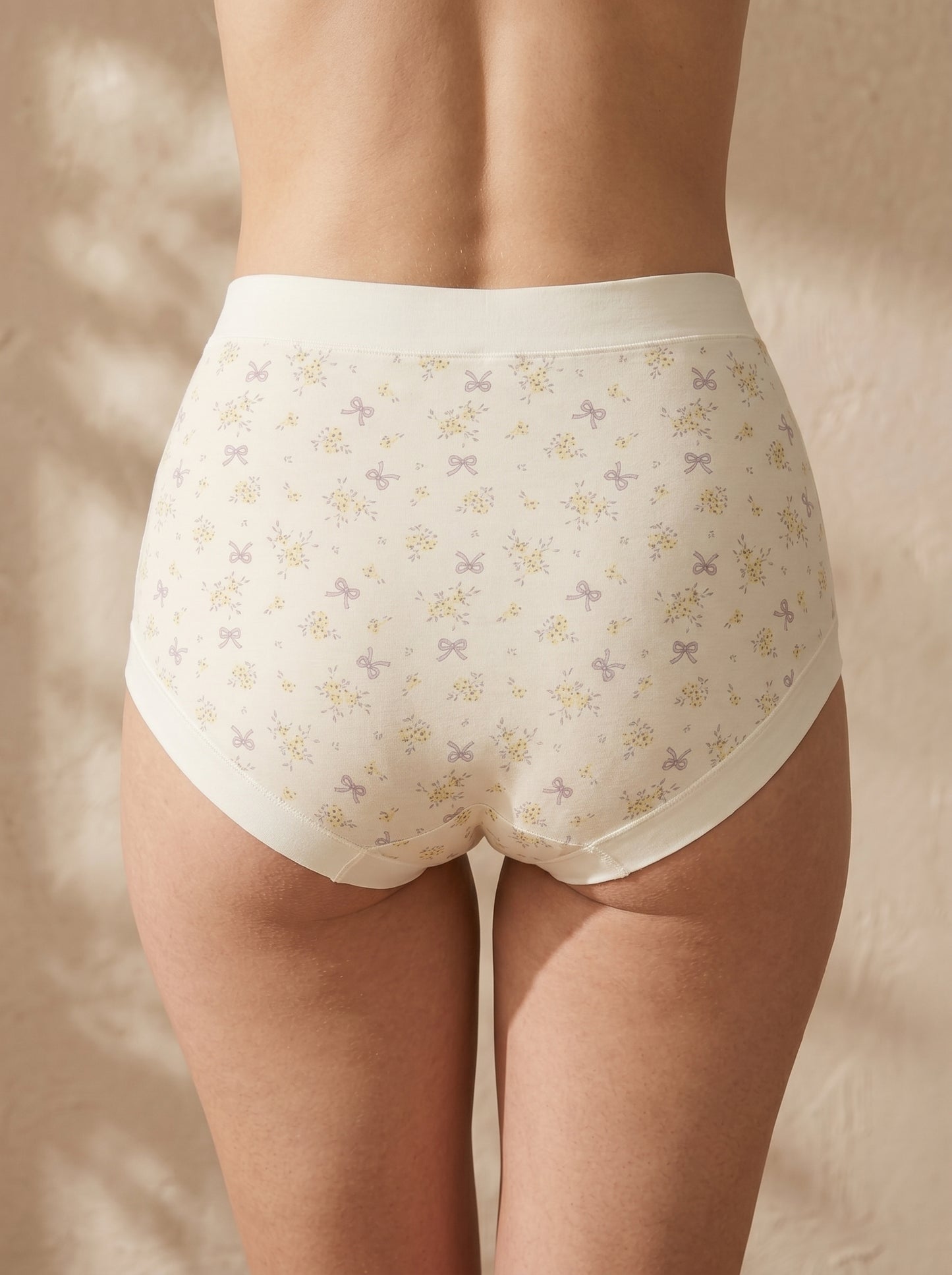 PN-43-HIGH WAISTED BRIEF-FULL COVERAGE-EVERYDAY WEAR