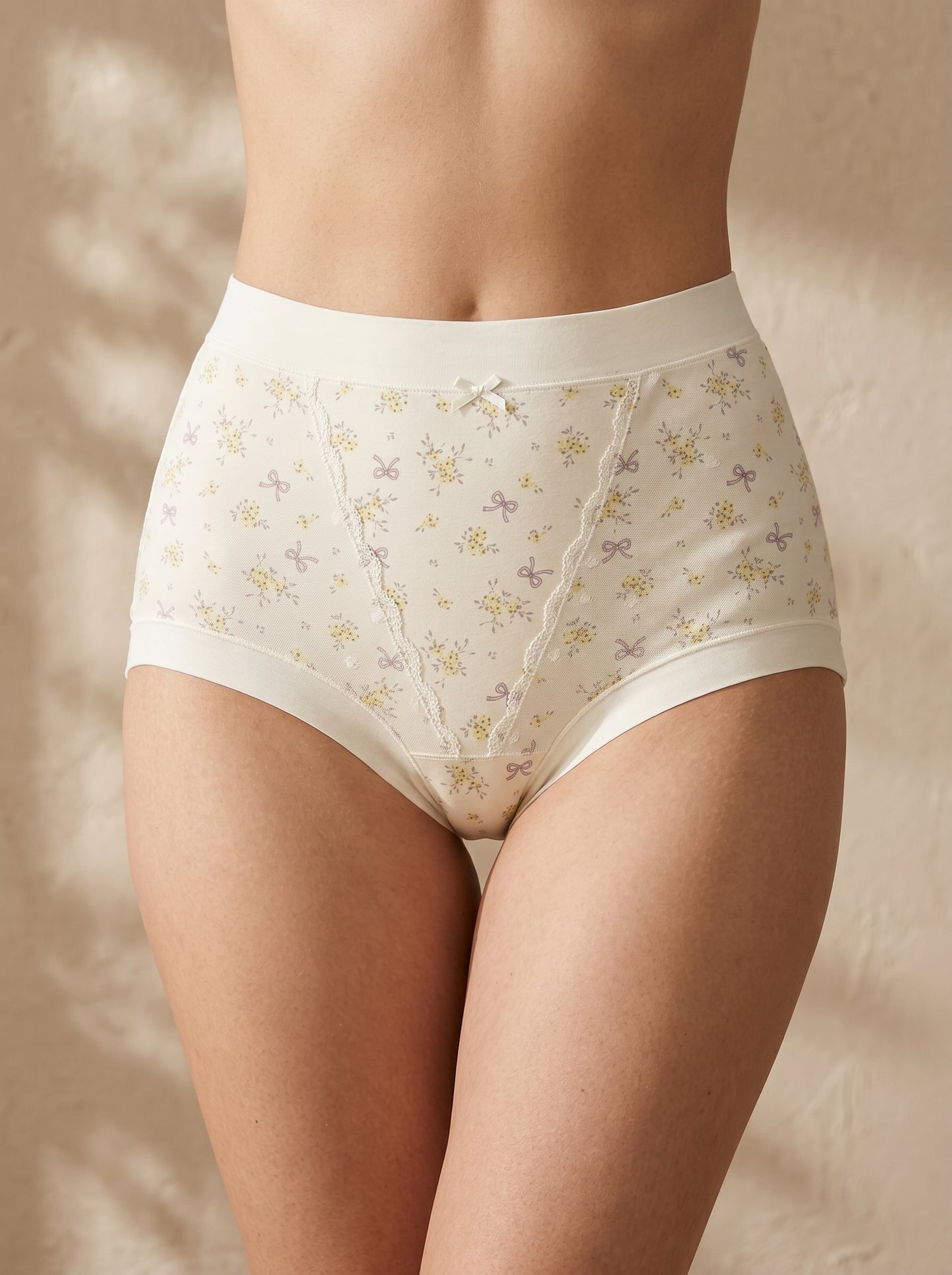 PN-43-HIGH WAISTED BRIEF-FULL COVERAGE-EVERYDAY WEAR