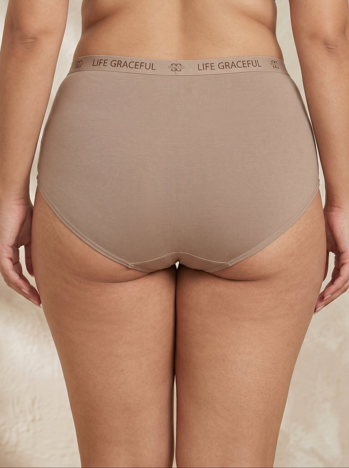 PN-41-HIGH WAISTED BRIEF-SOFT COMFORT-FULL COVERAGE-EVERYDAY WEAR